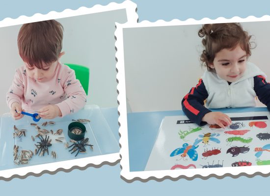 Pre-School – Nursery: Theme mini beasts. Busy bee class have had lots of fun investigating shapes, sizes and the differences between insects and bugs.