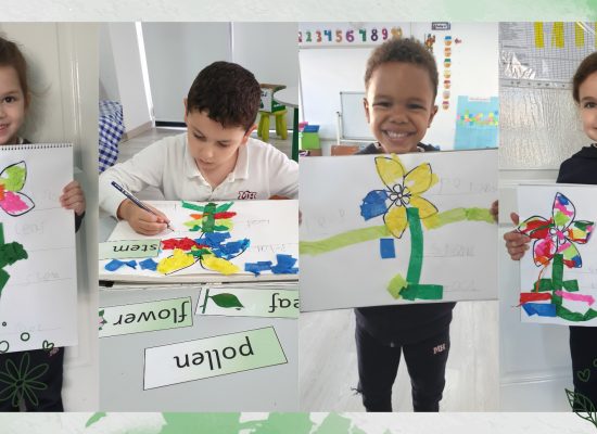 Pre-School –  Kindergarten: Learning and Copy Writing the Basic Parts of a Flower